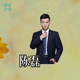 陈磊